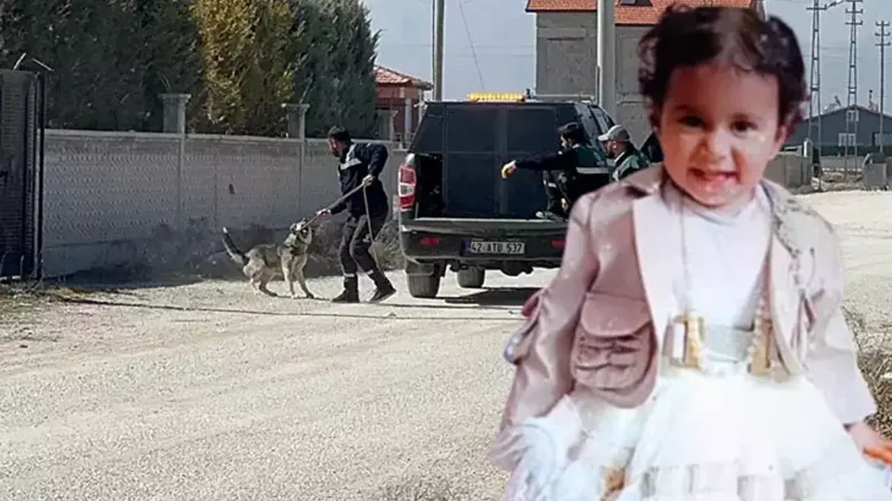 Sokak Köpeklerinin Saldırısında Hayatını Kaybeden Rana’nın Adli Tıp Raporu Açıklandı